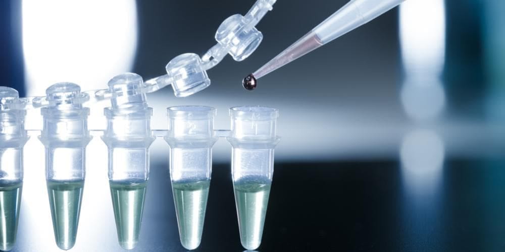 Stem Cell Research