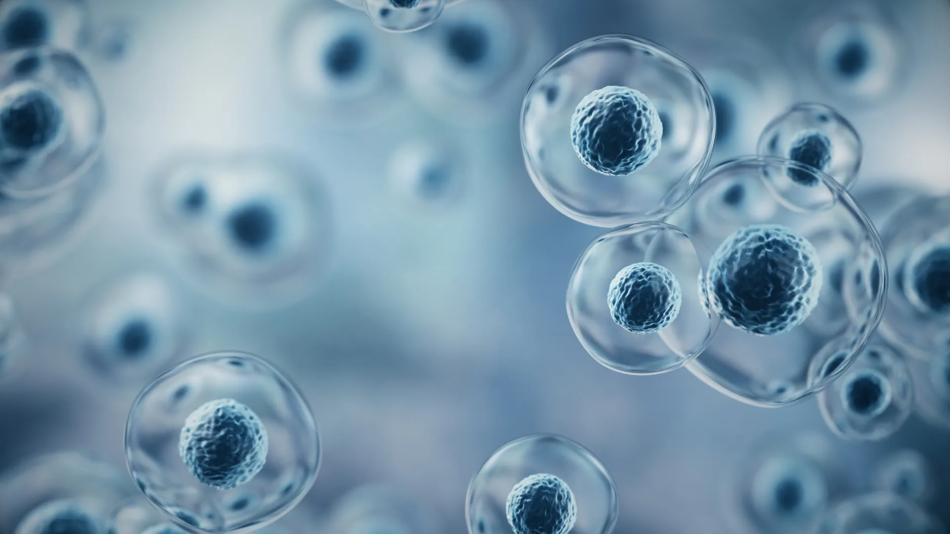 Stem Cell Therapy at Metro Pain Centers